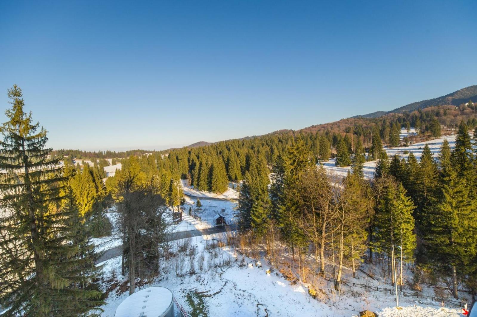 Family Apartment In Silver Mountain Resort Poiana Brasov Eksteriør bilde